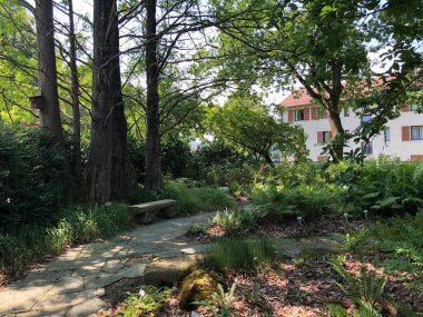 Botanik Bahçesi St. Gallen veya Der Botanische Bahçesi St. Gallen (Sankt Gallen 'deki Botanik Bahçesi), İsviçre / Schweiz