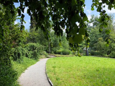 Botanik Bahçesi St. Gallen veya Der Botanische Bahçesi St. Gallen (Sankt Gallen 'deki Botanik Bahçesi), İsviçre / Schweiz