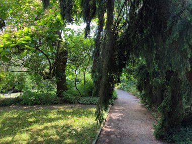 Botanik Bahçesi St. Gallen veya Der Botanische Bahçesi St. Gallen (Sankt Gallen 'deki Botanik Bahçesi), İsviçre / Schweiz