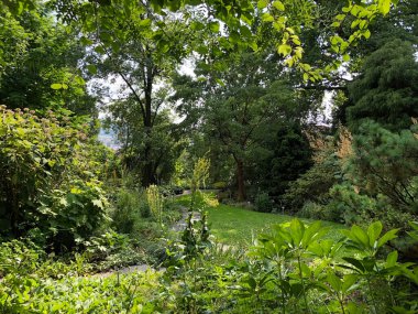 Botanik Bahçesi St. Gallen veya Der Botanische Bahçesi St. Gallen (Sankt Gallen 'deki Botanik Bahçesi), İsviçre / Schweiz