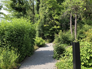Botanik Bahçesi St. Gallen veya Der Botanische Bahçesi St. Gallen (Sankt Gallen 'deki Botanik Bahçesi), İsviçre / Schweiz