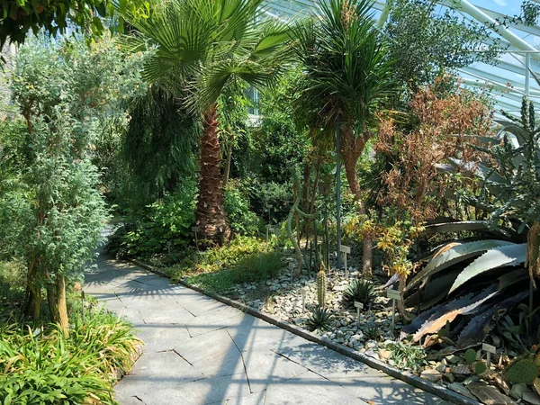 Alp Evi Veya Alpinenhaus Botanik Bahçesi Gallen Veya Der Botanische — Stok fotoğraf