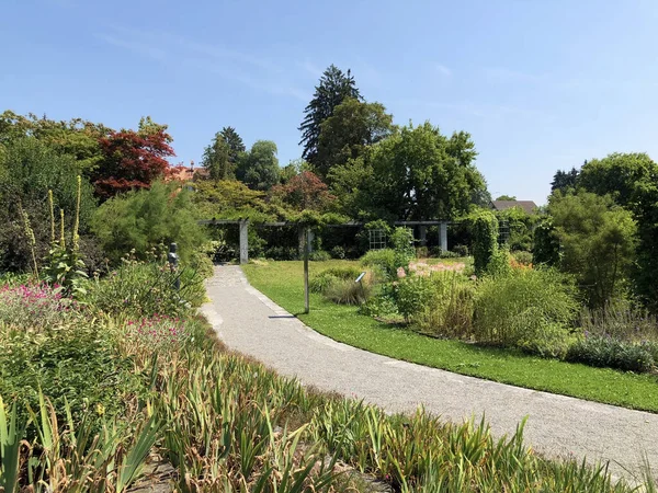 Gallen或Der Botanische Garten Gallen植物园 瑞士Sankt Gallen植物园 Schweiz — 图库照片