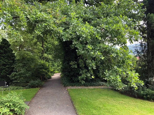 Jardín Botánico Gallen Der Botanische Garten Gallen Jardín Botánico Sankt — Foto de Stock