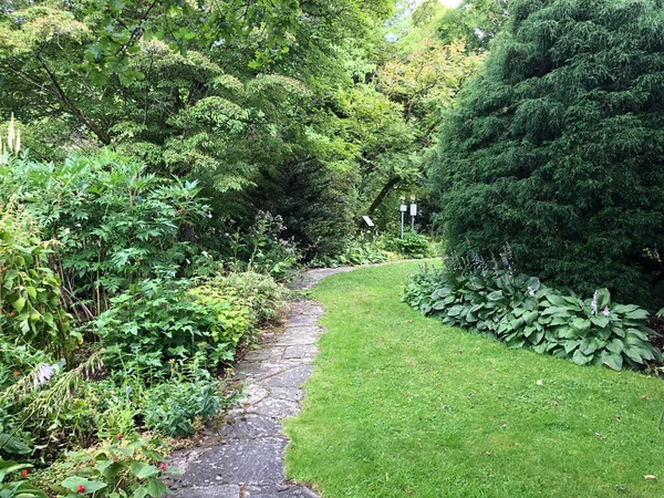 Ботанічний Сад Санкт Галлен Або Der Botanische Garten Gallen Botanical — стокове фото