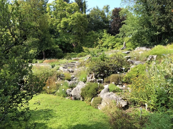 Gallen Botanikus Kert Vagy Der Botanische Garten Gallen Botanikus Kert — Stock Fotó