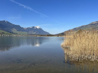 İsviçre 'de Schwyz, İsviçre' de bulunan Lauerzersee im Talkessel von Schwyz, Schweiz