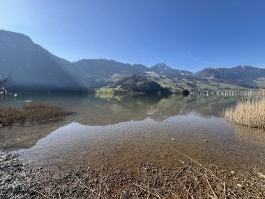 İsviçre 'de Schwyz, İsviçre' de bulunan Lauerzersee im Talkessel von Schwyz, Schweiz