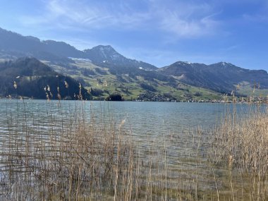 İsviçre 'de Schwyz, İsviçre' de bulunan Lauerzersee im Talkessel von Schwyz, Schweiz