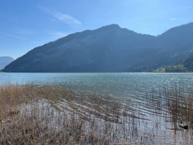 İsviçre 'de Schwyz, İsviçre' de bulunan Lauerzersee im Talkessel von Schwyz, Schweiz