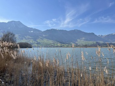 İsviçre 'de Schwyz, İsviçre' de bulunan Lauerzersee im Talkessel von Schwyz, Schweiz