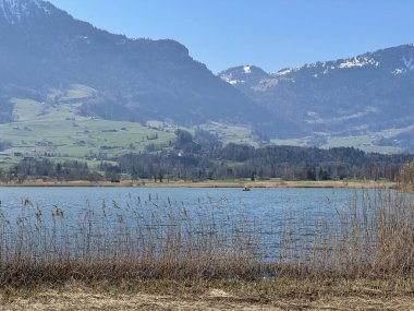 İsviçre 'de Schwyz, İsviçre' de bulunan Lauerzersee im Talkessel von Schwyz, Schweiz