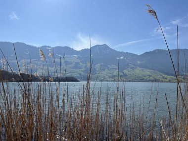 İsviçre 'de Schwyz, İsviçre' de bulunan Lauerzersee im Talkessel von Schwyz, Schweiz