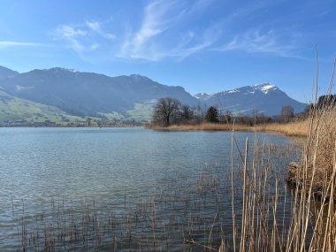 İsviçre 'de Schwyz, İsviçre' de bulunan Lauerzersee im Talkessel von Schwyz, Schweiz