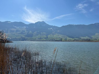 İsviçre 'de Schwyz, İsviçre' de bulunan Lauerzersee im Talkessel von Schwyz, Schweiz