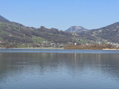 İsviçre 'de Schwyz, İsviçre' de bulunan Lauerzersee im Talkessel von Schwyz, Schweiz