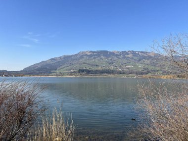 İsviçre 'de Schwyz, İsviçre' de bulunan Lauerzersee im Talkessel von Schwyz, Schweiz