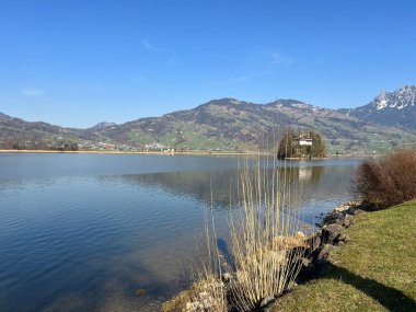 İsviçre 'de Schwyz, İsviçre' de bulunan Lauerzersee im Talkessel von Schwyz, Schweiz
