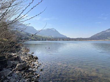 İsviçre 'de Schwyz, İsviçre' de bulunan Lauerzersee im Talkessel von Schwyz, Schweiz