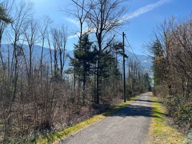 İsviçre 'nin Schwyz kentindeki vadi havzasında Lauerz Gölü (Lauerzersee) etrafında yürüyüş, spor ve dinlenme yolları bulunmaktadır (Schweiz)