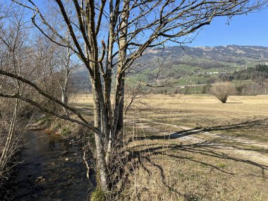 İsviçre 'nin Schwyz kentindeki vadi havzasında Lauerz Gölü (Lauerzersee) etrafında yürüyüş, spor ve dinlenme yolları bulunmaktadır (Schweiz)