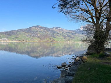İsviçre 'de Schwyz, İsviçre' de bulunan Lauerzersee im Talkessel von Schwyz, Schweiz