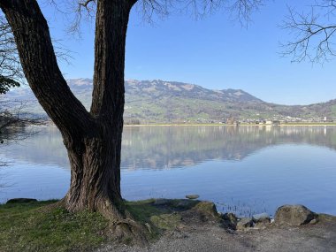 İsviçre 'de Schwyz, İsviçre' de bulunan Lauerzersee im Talkessel von Schwyz, Schweiz