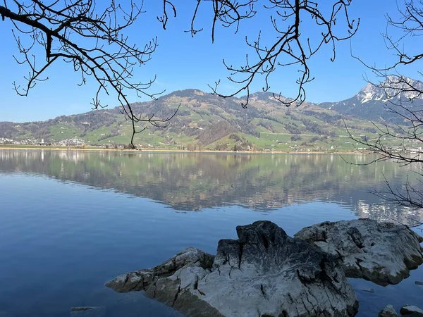 İsviçre 'de Schwyz, İsviçre' de bulunan Lauerzersee im Talkessel von Schwyz, Schweiz