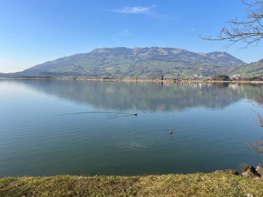 İsviçre 'de Schwyz, İsviçre' de bulunan Lauerzersee im Talkessel von Schwyz, Schweiz