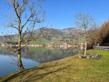 İsviçre 'de Schwyz, İsviçre' de bulunan Lauerzersee im Talkessel von Schwyz, Schweiz
