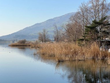 İsviçre 'de Schwyz, İsviçre' de bulunan Lauerzersee im Talkessel von Schwyz, Schweiz