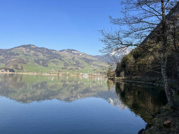 İsviçre 'de Schwyz, İsviçre' de bulunan Lauerzersee im Talkessel von Schwyz, Schweiz