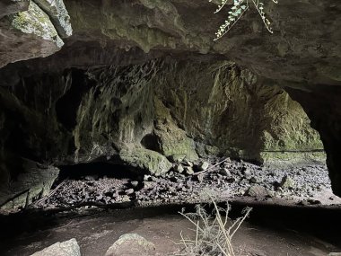 Rakov Skocjan vadisi veya Rakov Skocjan Peyzaj Parkı, Slovenya - Das Karstreservat Rakov Skocjan. Slowenien - Krajinski parkı Rakov Skocjan, Slovenya