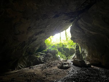 Rakov Skocjan vadisi veya Rakov Skocjan Peyzaj Parkı, Slovenya - Das Karstreservat Rakov Skocjan. Slowenien - Krajinski parkı Rakov Skocjan, Slovenya