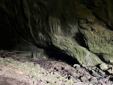 Rakov Skocjan vadisi veya Rakov Skocjan Peyzaj Parkı, Slovenya - Das Karstreservat Rakov Skocjan. Slowenien - Krajinski parkı Rakov Skocjan, Slovenya