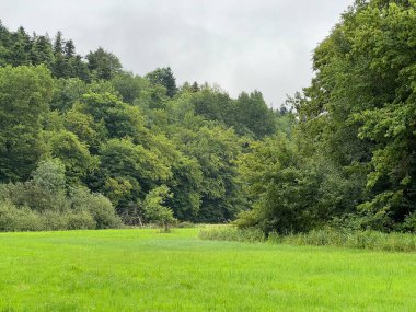 Rakov Skocjan vadisi veya Rakov Skocjan Peyzaj Parkı, Slovenya - Das Karstreservat Rakov Skocjan. Slowenien - Krajinski parkı Rakov Skocjan, Slovenya