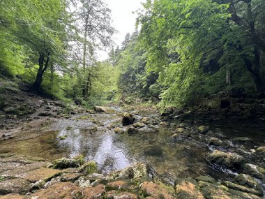 Rakov Skocjan vadisi veya Rakov Skocjan Peyzaj Parkı, Slovenya - Das Karstreservat Rakov Skocjan. Slowenien - Krajinski parkı Rakov Skocjan, Slovenya