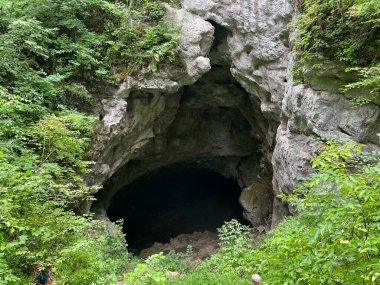 Rakov Skocjan vadisi veya Rakov Skocjan Peyzaj Parkı, Slovenya - Das Karstreservat Rakov Skocjan. Slowenien - Krajinski parkı Rakov Skocjan, Slovenya