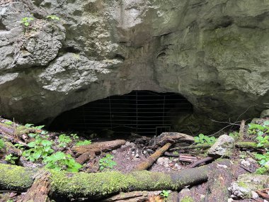 Rakov Skocjan Vadisi veya Rakov Skocjan Peyzaj Parkı, Slovenya - Das Karstreservat Rakov Skocjan, Slowenien - Krajinski parkı Rakov Skocjan, Slovenya