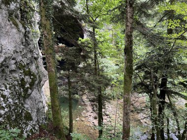 Rakov Skocjan Vadisi veya Rakov Skocjan Peyzaj Parkı, Slovenya - Das Karstreservat Rakov Skocjan, Slowenien - Krajinski parkı Rakov Skocjan, Slovenya