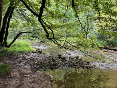 Rakov Skocjan Vadisi veya Rakov Skocjan Peyzaj Parkı, Slovenya - Das Karstreservat Rakov Skocjan, Slowenien - Krajinski parkı Rakov Skocjan, Slovenya
