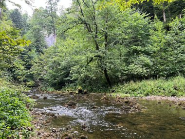 Rakov Skocjan Vadisi veya Rakov Skocjan Peyzaj Parkı, Slovenya - Das Karstreservat Rakov Skocjan, Slowenien - Krajinski parkı Rakov Skocjan, Slovenya
