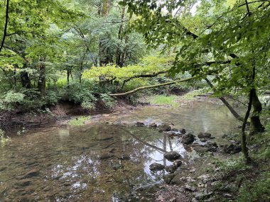 Rakov Skocjan Vadisi veya Rakov Skocjan Peyzaj Parkı, Slovenya - Das Karstreservat Rakov Skocjan, Slowenien - Krajinski parkı Rakov Skocjan, Slovenya