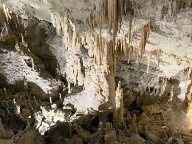 Postojna Mağara Parkı (Slovenya) - Park der Hoehle von Postojna (Slowenien) - Park Postojnska jama (Slovenya) - Parco delle Grotte di Postumia (Slovenya))