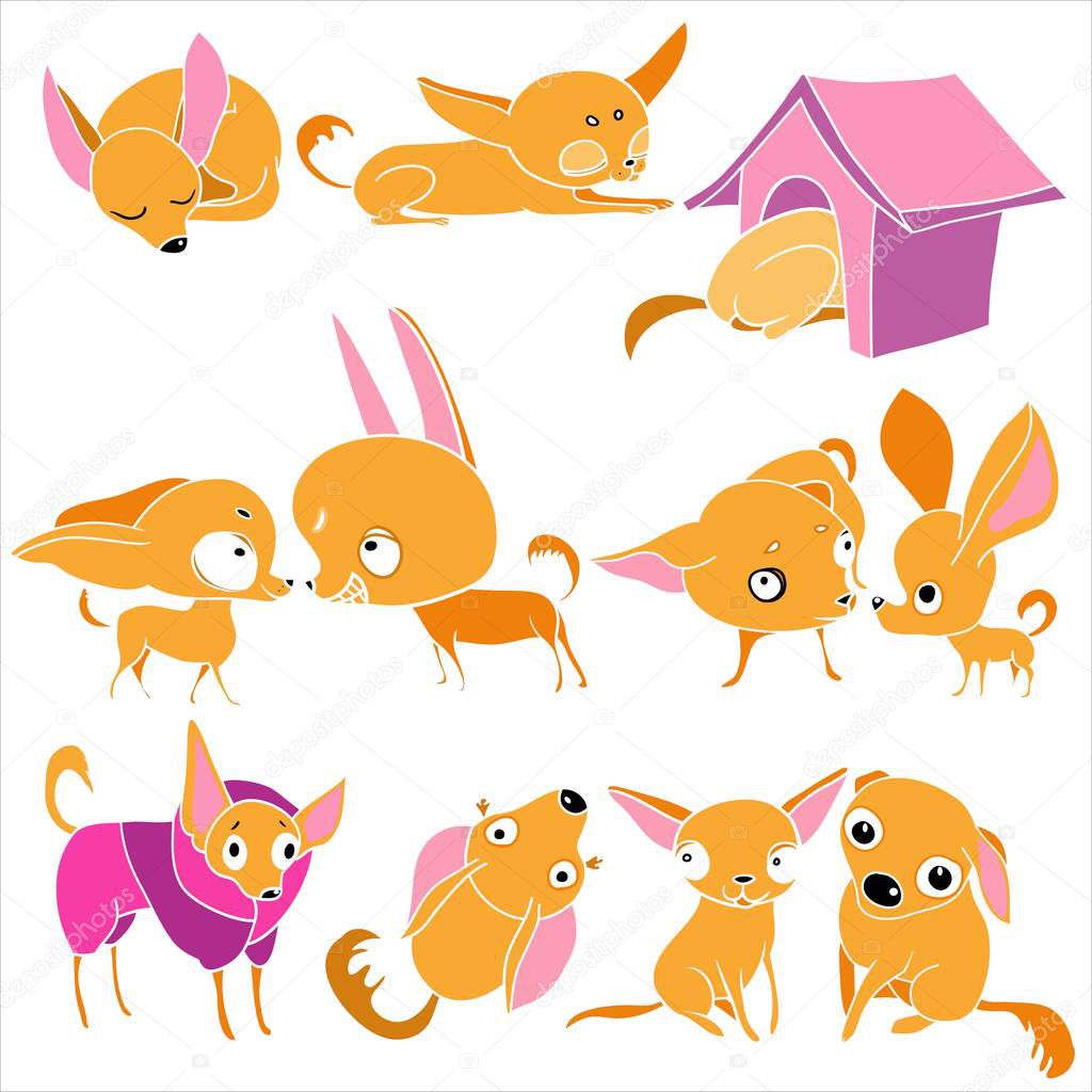 Set of illustrations, in vector, home pet