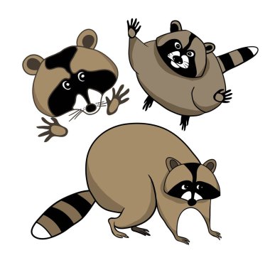 Renk çizimler vektör, Sevimli çizgi rakun, rakun karakter kümesi