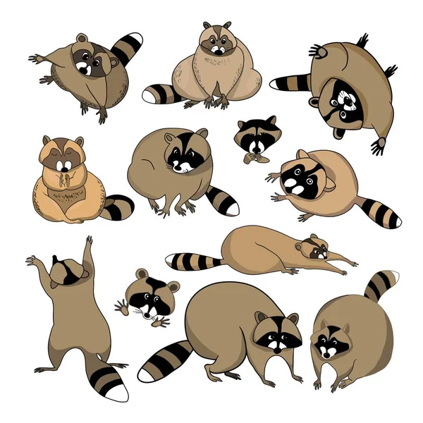 Set Color Illustrations Vector Cute Cartoon Raccoon Raccoon Characters — Stock Vector