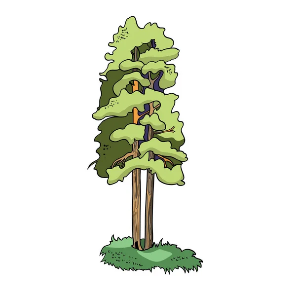 Desenho Vetorial Cor Árvore Verde Grande Árvore Vida —  Vetores de Stock