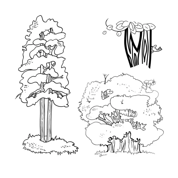 Conjunto Desenhos Vetor Preto Branco Ilustrações Lineares Diferentes Tipos Árvores —  Vetores de Stock