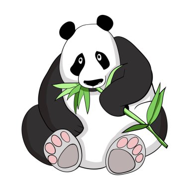 Vektör çizim, renk illüstrasyon, panda ayı